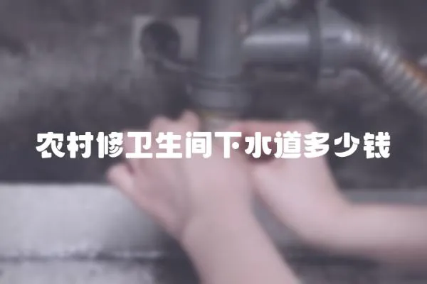 農(nóng)村修衛(wèi)生間下水道多少錢