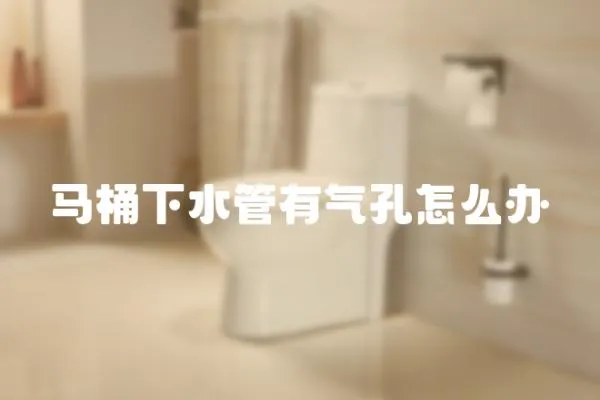 馬桶下水管有氣孔怎么辦