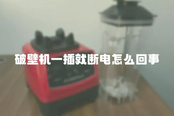 破壁機(jī)一插就斷電怎么回事