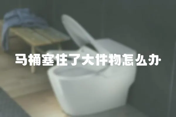 馬桶塞住了大件物怎么辦