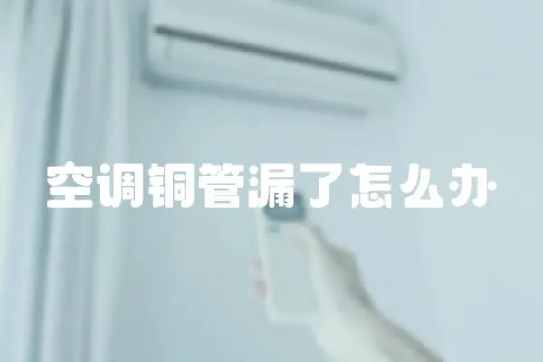 空調(diào)銅管漏了怎么辦