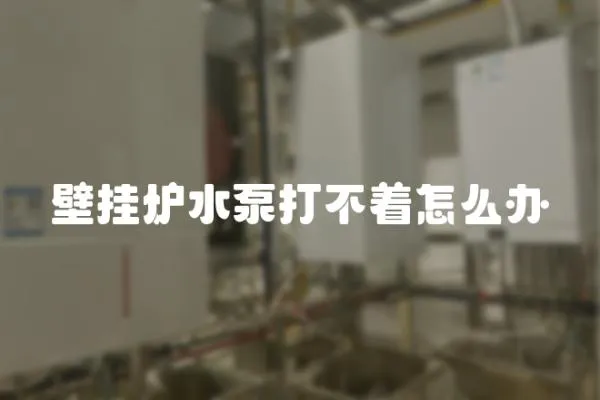 壁掛爐水泵打不著怎么辦