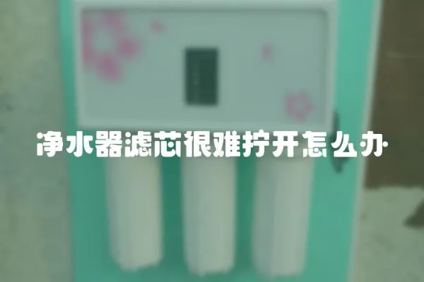 凈水器濾芯很難擰開怎么辦