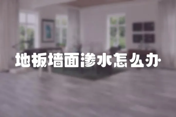 地板墻面滲水怎么辦