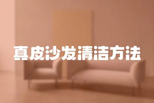 真皮沙發清潔方法