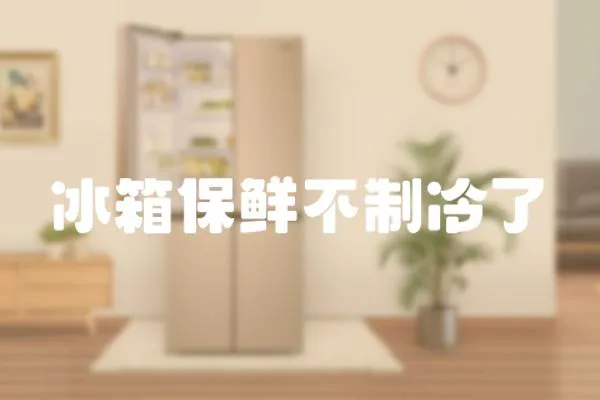 冰箱保鮮不制冷了