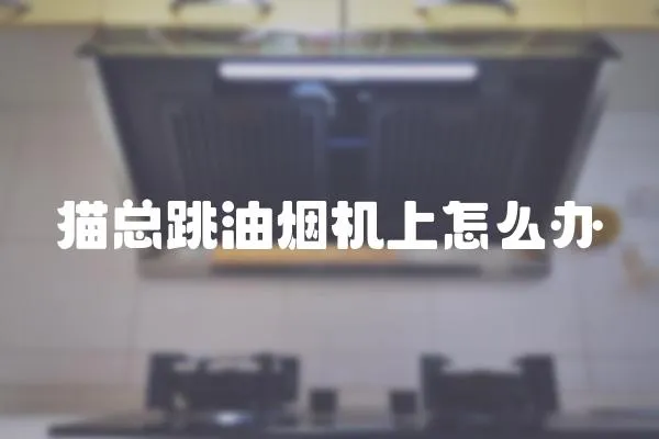 貓總跳油煙機上怎么辦