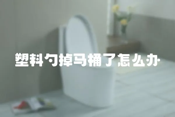 塑料勺掉馬桶了怎么辦