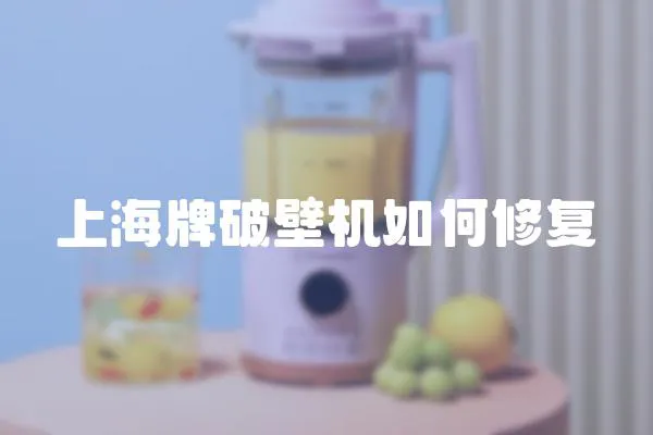上海牌破壁機如何修復