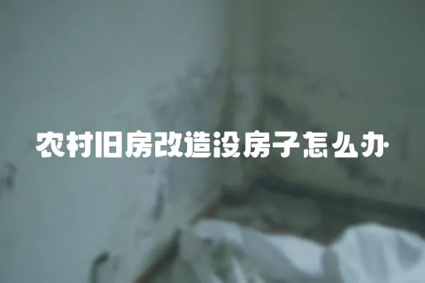 農村舊房改造沒房子怎么辦