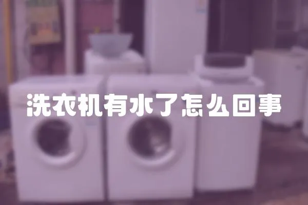 洗衣機(jī)有水了怎么回事