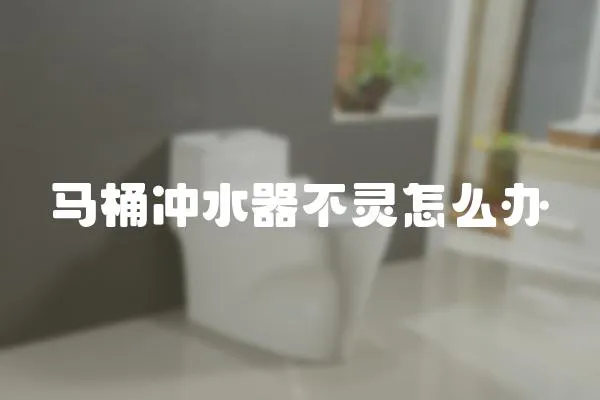 馬桶沖水器不靈怎么辦
