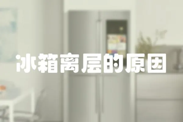 冰箱離層的原因