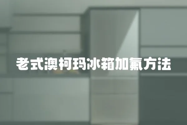 老式澳柯瑪冰箱加氟方法
