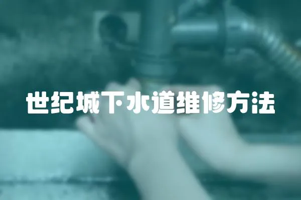 世紀城下水道維修方法