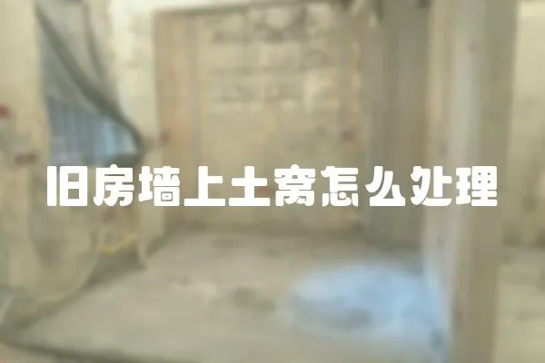 舊房墻上土窩怎么處理