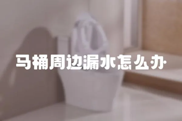 馬桶周邊漏水怎么辦