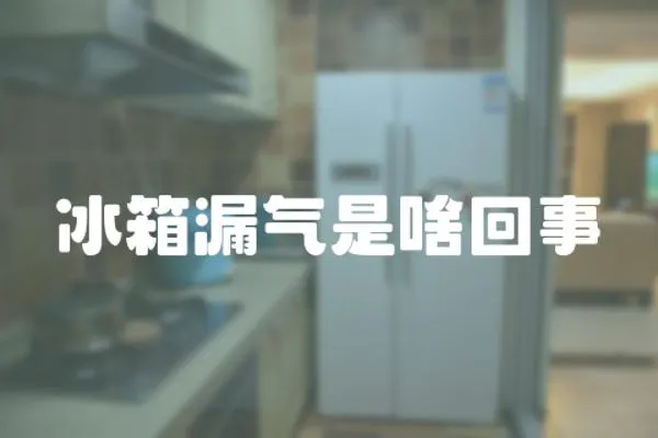 冰箱漏氣是啥回事