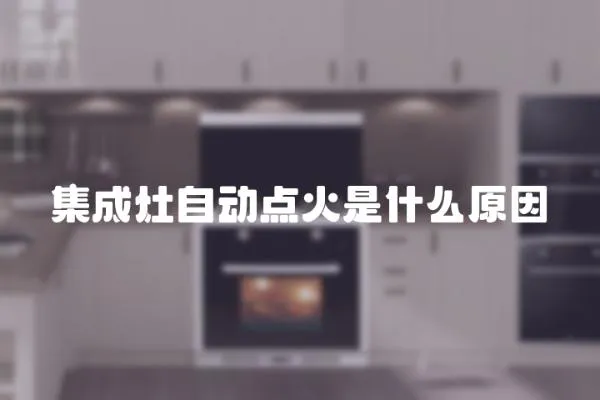 集成灶自動點火是什么原因