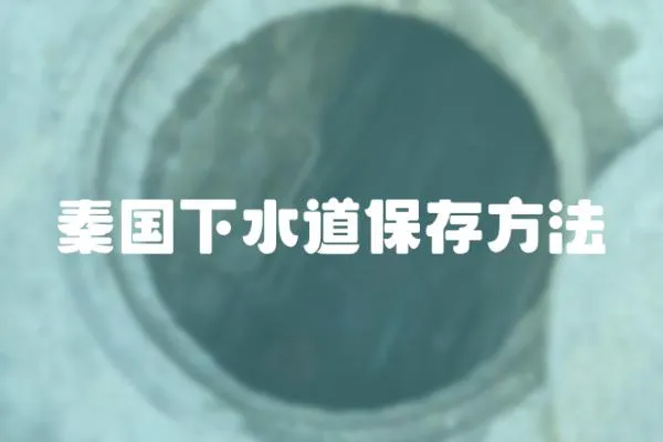 秦國下水道保存方法