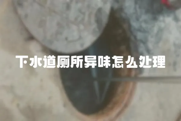 下水道廁所異味怎么處理