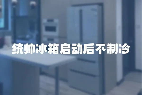 統帥冰箱啟動后不制冷