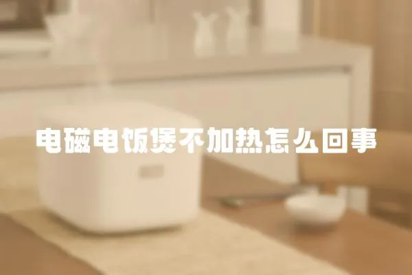 電磁電飯煲不加熱怎么回事