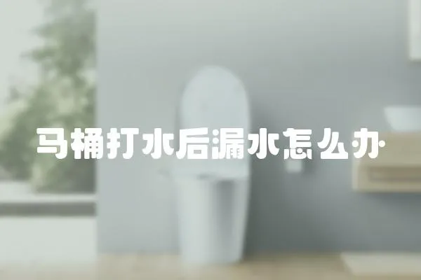 馬桶打水后漏水怎么辦