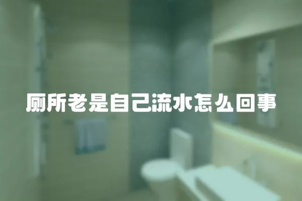 廁所老是自己流水怎么回事