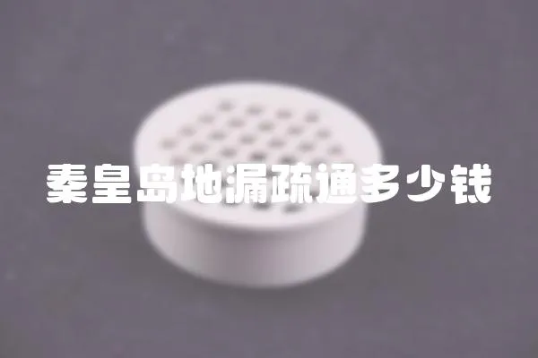 秦皇島地漏疏通多少錢