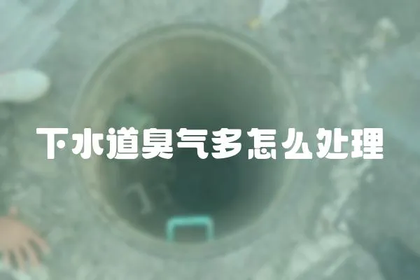 下水道臭氣多怎么處理