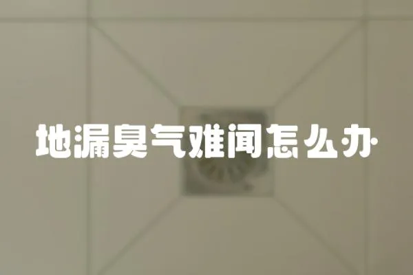 地漏臭氣難聞怎么辦