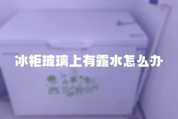 冰柜玻璃上有露水怎么辦