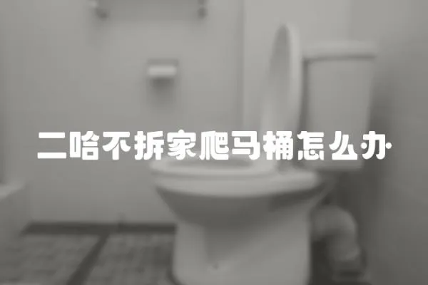 二哈不拆家爬馬桶怎么辦