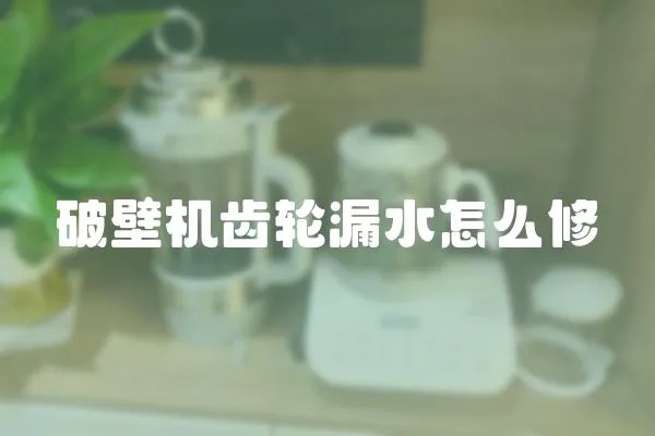 破壁機齒輪漏水怎么修