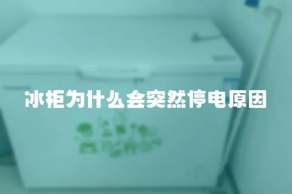 冰柜為什么會突然停電原因