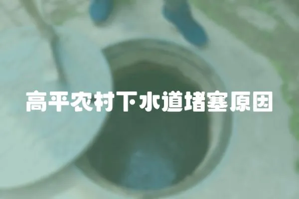 高平農村下水道堵塞原因
