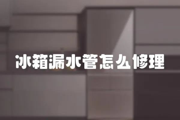 冰箱漏水管怎么修理