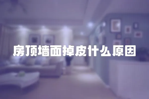 房頂墻面掉皮什么原因