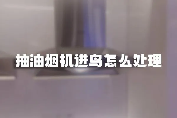 抽油煙機(jī)進(jìn)鳥怎么處理