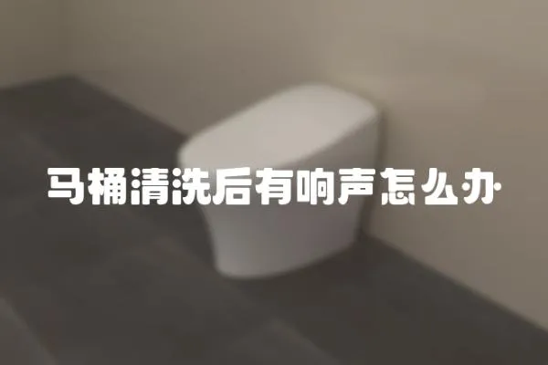 馬桶清洗后有響聲怎么辦
