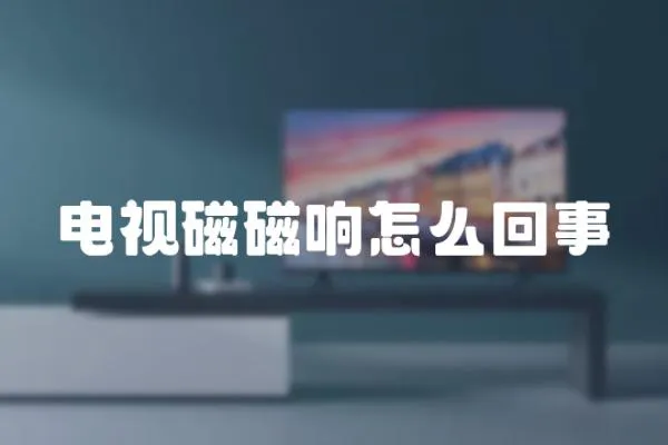 電視磁磁響怎么回事