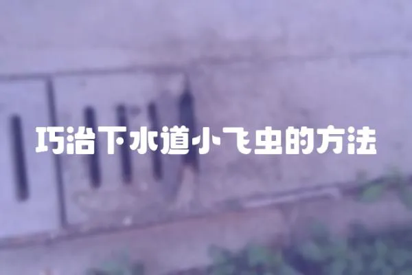 巧治下水道小飛蟲的方法