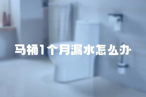 馬桶1個月漏水怎么辦