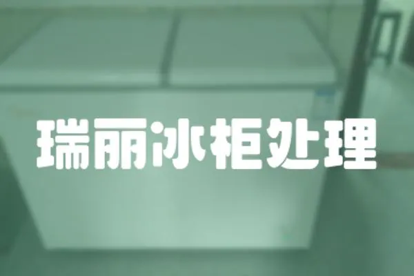 瑞麗冰柜處理