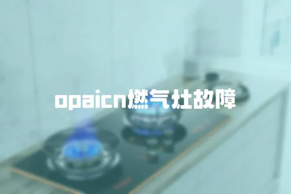 opaicn燃氣灶故障