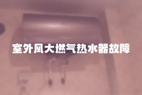 室外風大燃氣熱水器故障