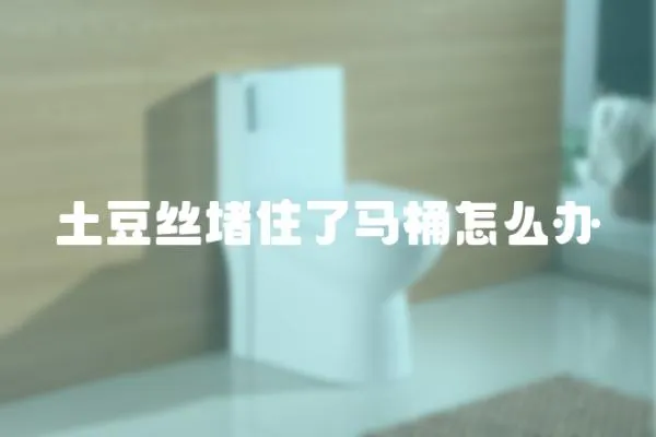 土豆絲堵住了馬桶怎么辦