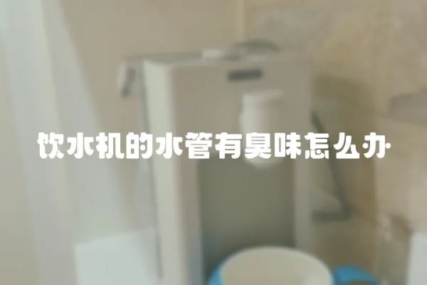 飲水機的水管有臭味怎么辦