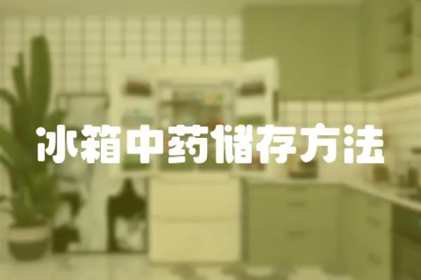 冰箱中藥儲存方法